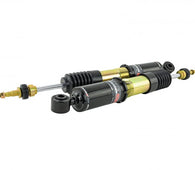 HONDA CIVIC SI 17-21 - SKUNK2 RACING SK PRO-ST COILOVER